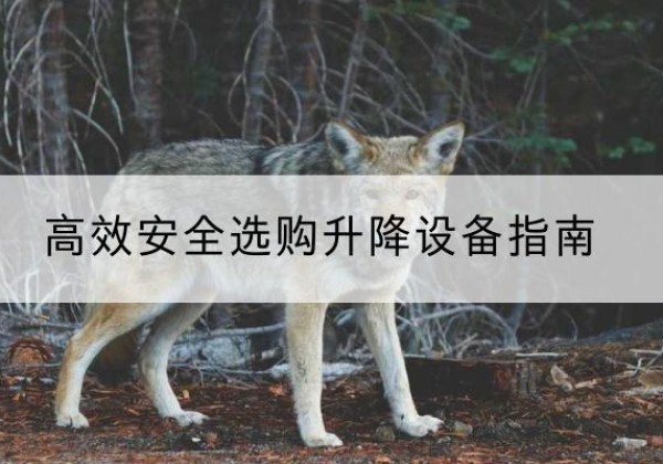 杂多升降货梯厂家推荐-*安全选购升降设备指南