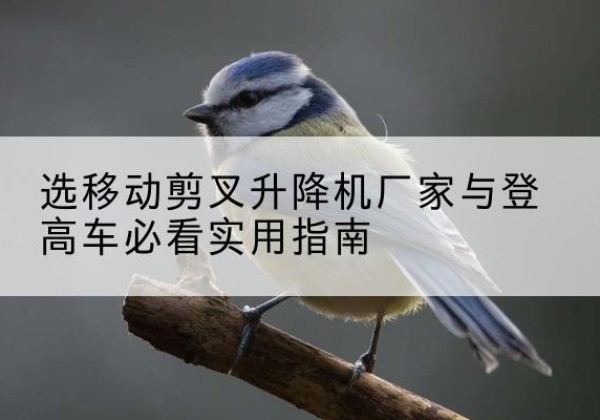 杂多电动升降机厂家-选移动剪叉升降机厂家与登高车必看实用指南