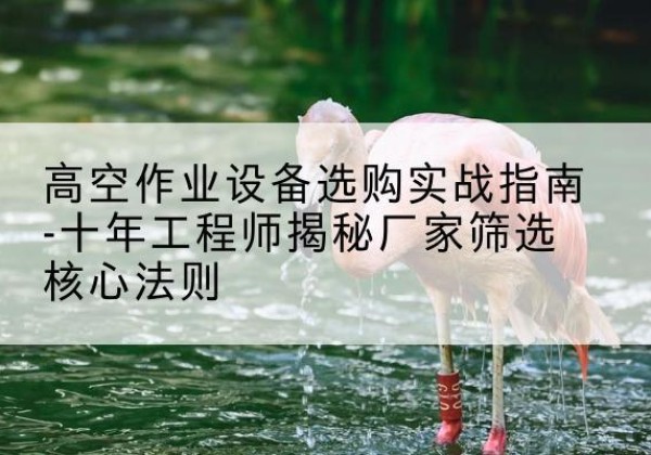 杂多剪叉式升降机厂家-高空作业设备选购实战指南-十年工程师揭秘厂家筛选核心法则